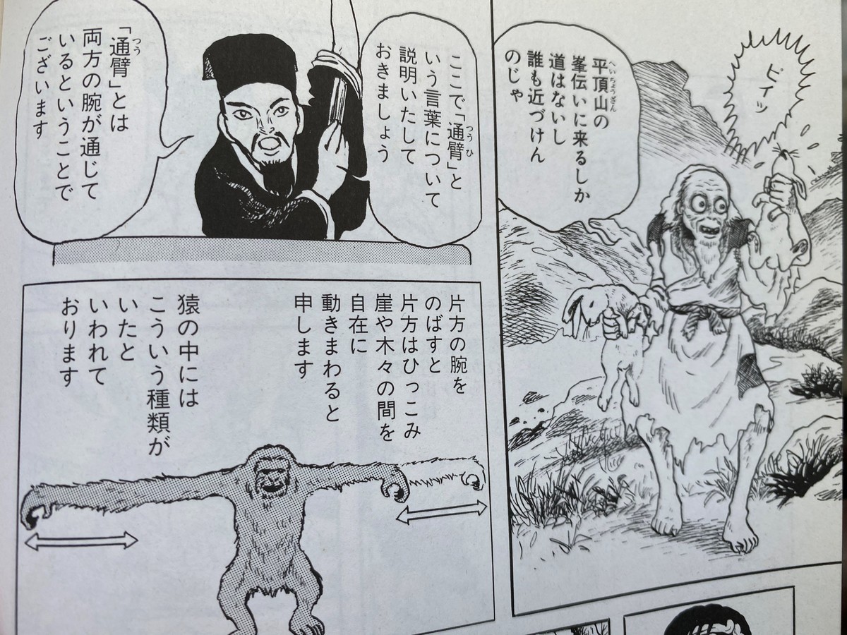 『西遊妖猿伝』(双葉社)