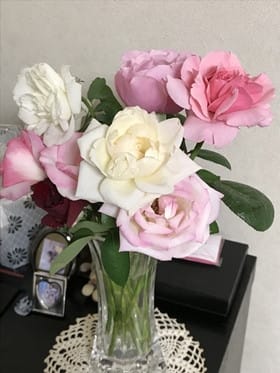 夏だけど摘蕾しないから