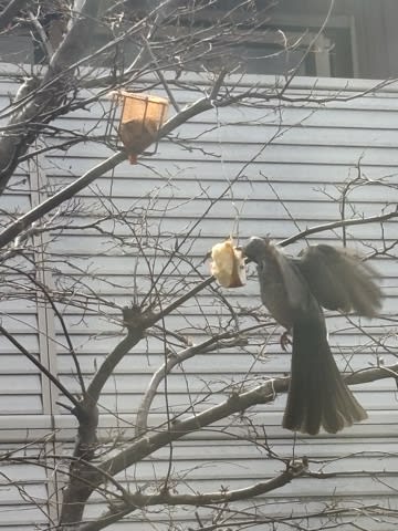 必死さが伝わるｗ