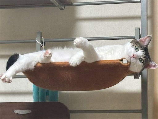 焦点は、はみ出た足に