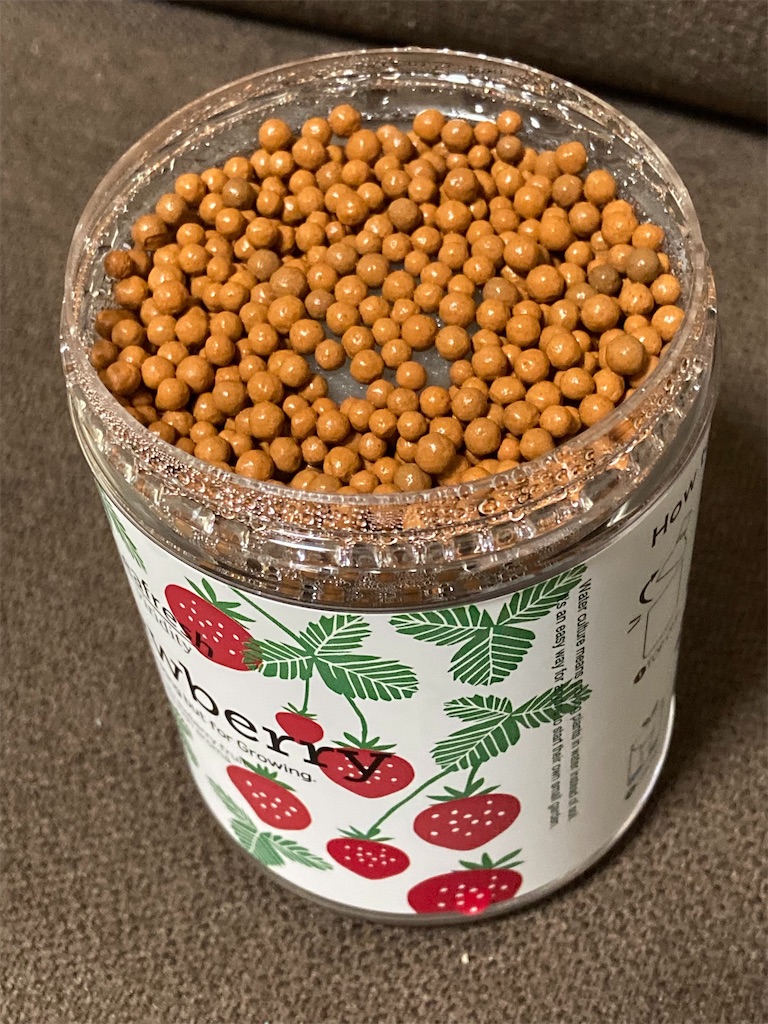 f:id:Epidote:20230323224240j:image