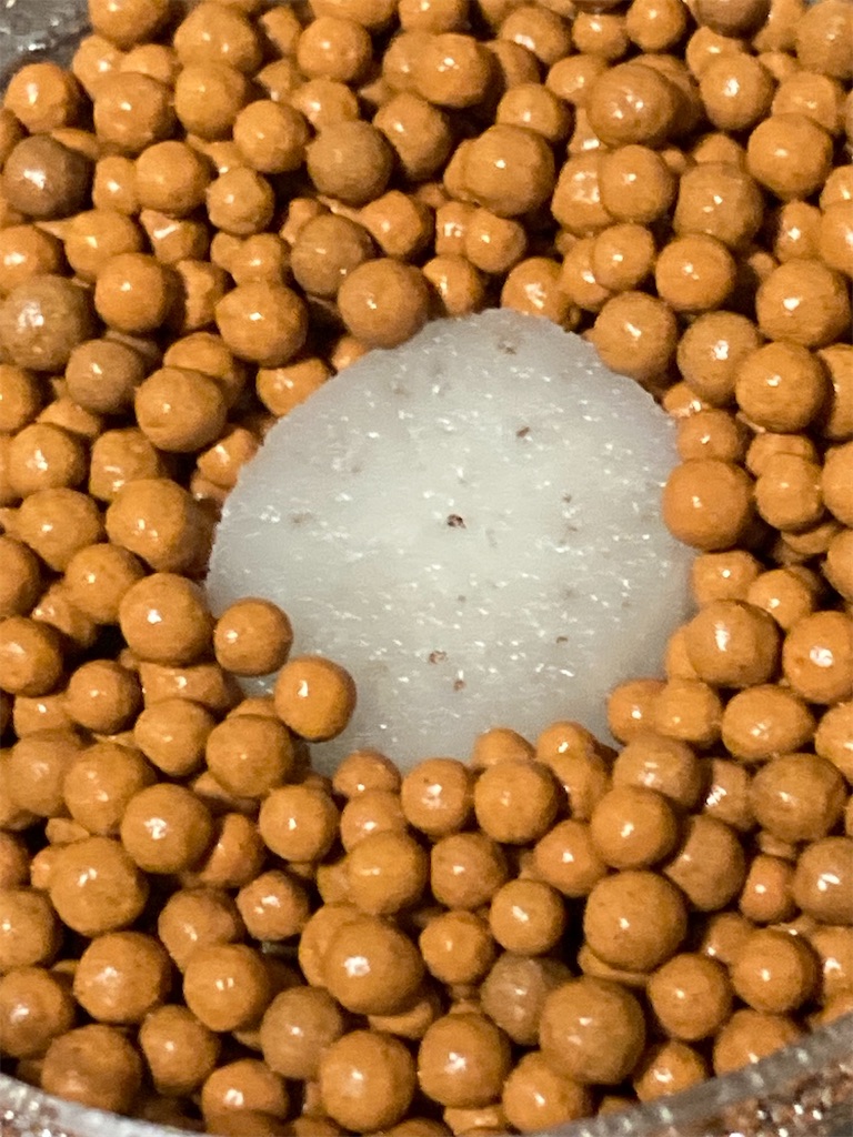 f:id:Epidote:20230323224244j:image