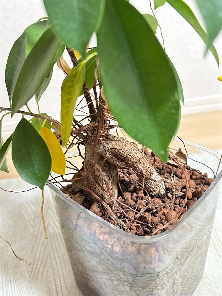 f:id:Epidote:20251208183423j:image