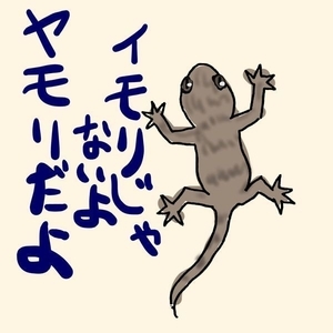 かべちょろ ヤモリ を飼った話 どどめ色の真実