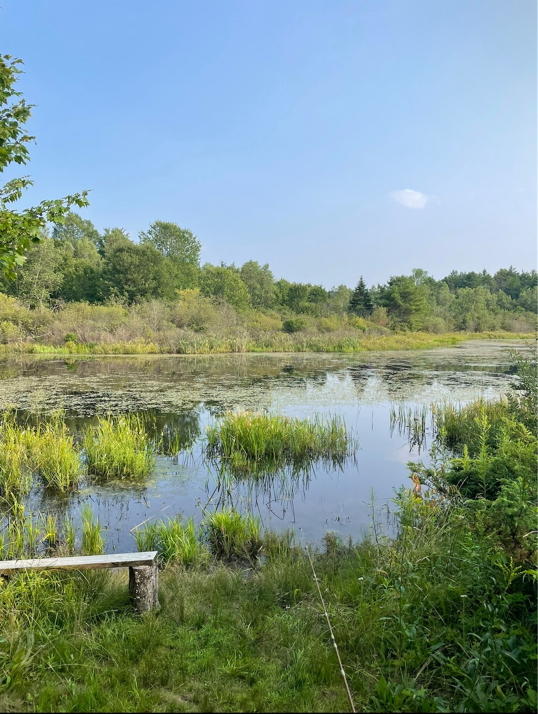 f:id:Erahouse:20231119081015j:image