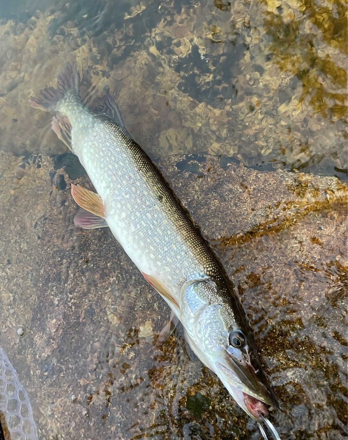 f:id:Erahouse:20231119081347j:image