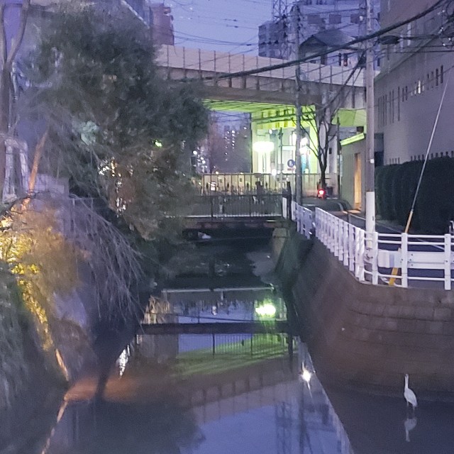 f:id:Eres_mitesoro:20220318215905j:image