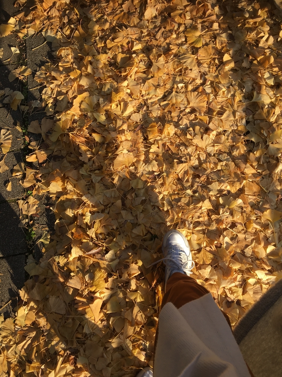 f:id:Erikabpy:20191219093823j:plain