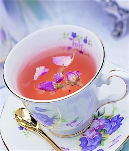 f:id:Erima2019:20191121085106j:image