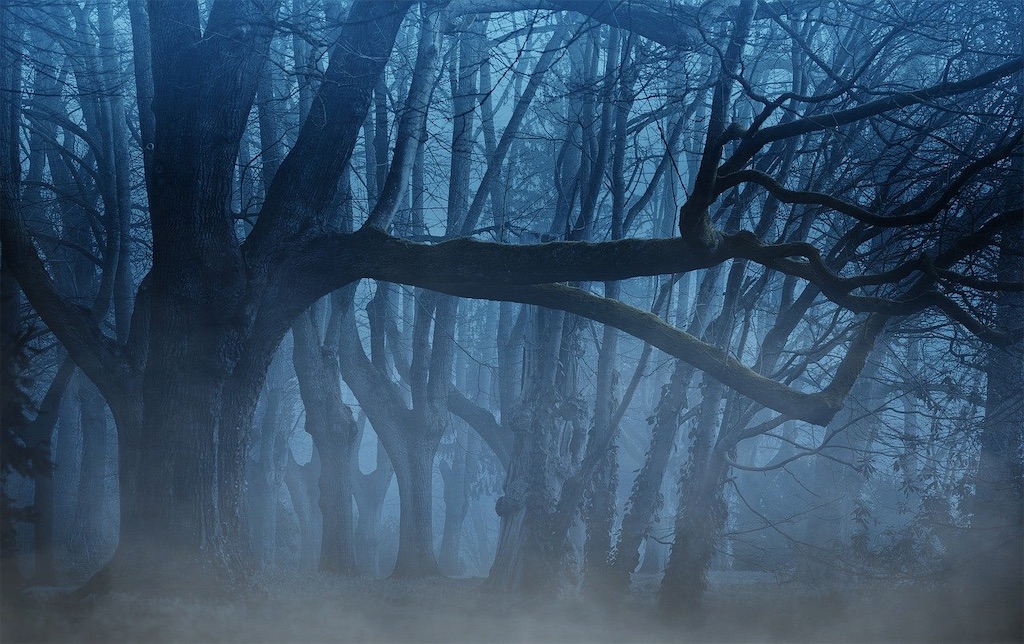f:id:Escherichiacoli:20201209231832j:image f:id:Escherichiacoli:20201209231832j:image