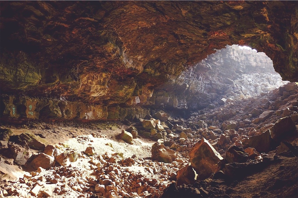 f:id:Escherichiacoli:20201210214417j:image f:id:Escherichiacoli:20201210214417j:image