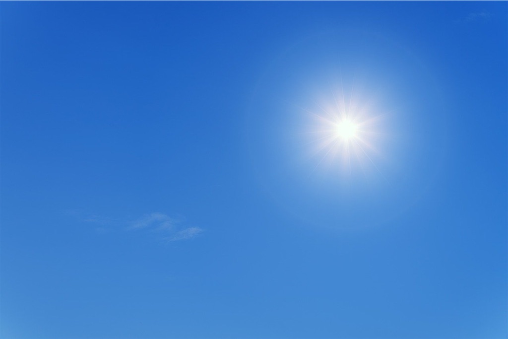 f:id:Escherichiacoli:20201210215112j:image f:id:Escherichiacoli:20201210215112j:image