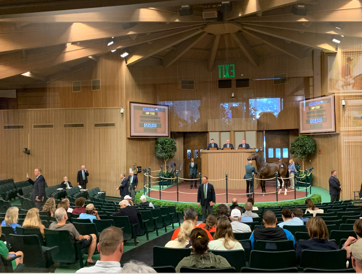 マーフィー 　タイムセール ZETT by BEAMS DESIGN フード付きネックウォーマー | 【ZETT