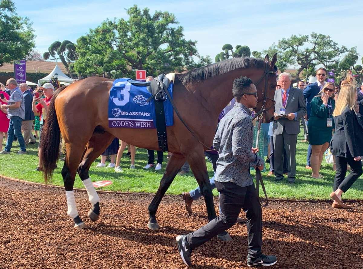 競馬　Barbourベスト　2019サンタアニタ　ブリーダーズカップ 競馬 Barbour 2019サンタアニタ ブリーダーズカップ ベスト 【公式通販】