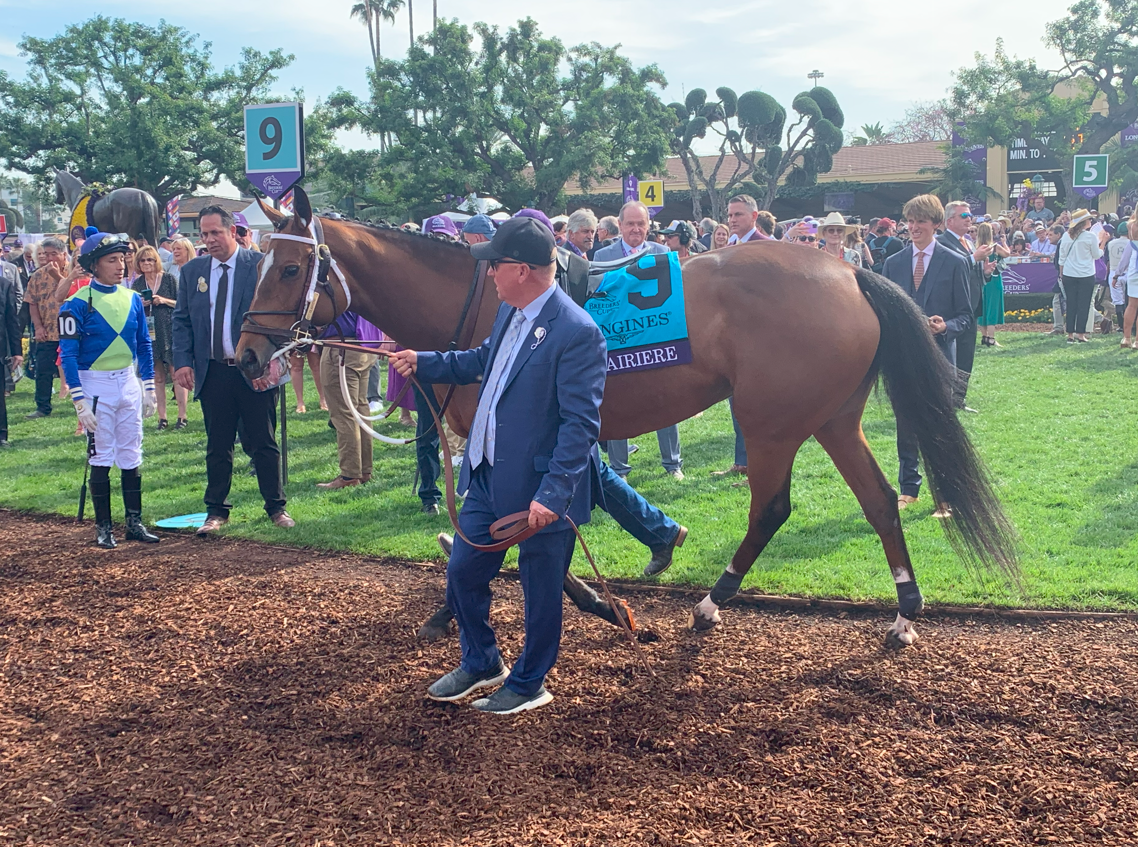 競馬　Barbourベスト　2019サンタアニタ　ブリーダーズカップ 競馬 Barbour 2019サンタアニタ ブリーダーズカップ ベスト 【公式通販】