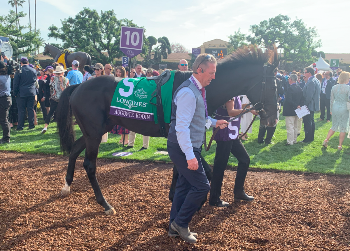 競馬　Barbour 2019サンタアニタ　ブリーダーズカップ　　ベスト 競馬 Barbour 2019サンタアニタ ブリーダーズカップ ベスト