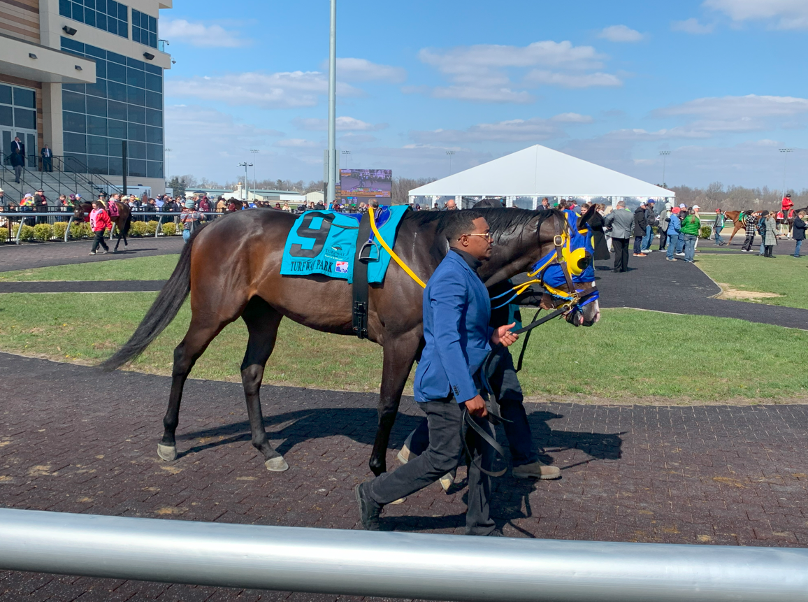 アメリカ競馬】ターフウェイパーク競馬場（TURFWAY Park Racing