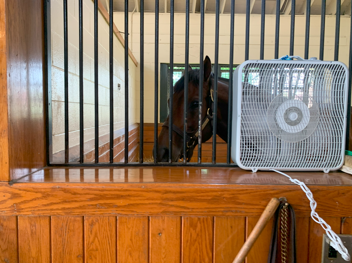 北米競馬】レーンズエンドファーム 2021スタリオンブック
