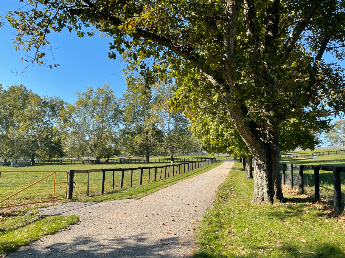 War Front】クレイボーンファーム（Claiborne Farm