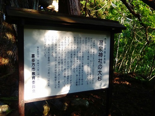 f:id:Estoppel:20190602212211j:plain