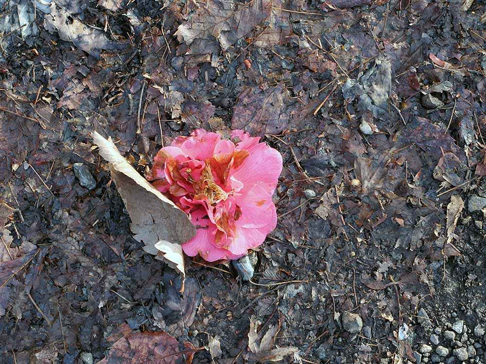 f:id:Etsuro1:20090320162352j:plain