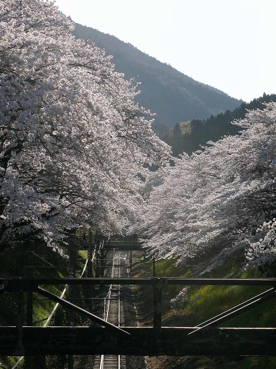 f:id:Etsuro1:20200323104426j:plain