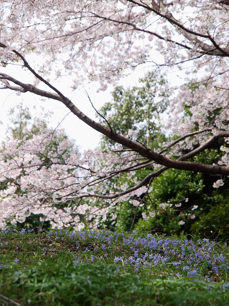 f:id:Etsuro1:20200326105640j:plain f:id:Etsuro1:20200326105640j:plain