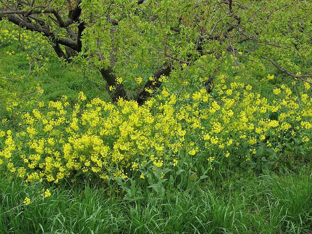 f:id:Etsuro1:20200328114021j:plain f:id:Etsuro1:20200328114021j:plain