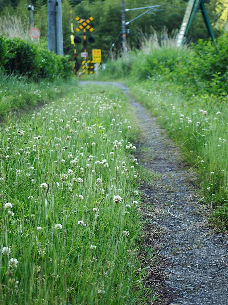 f:id:Etsuro1:20200623183706j:plain