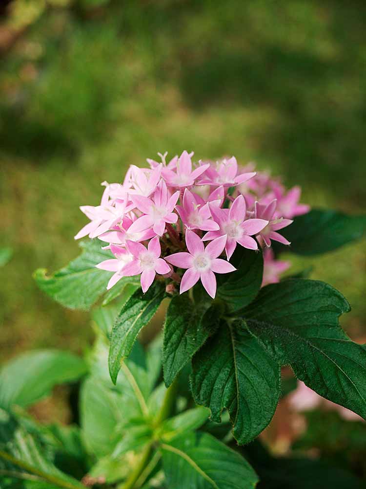 f:id:Etsuro1:20200822181940j:plain