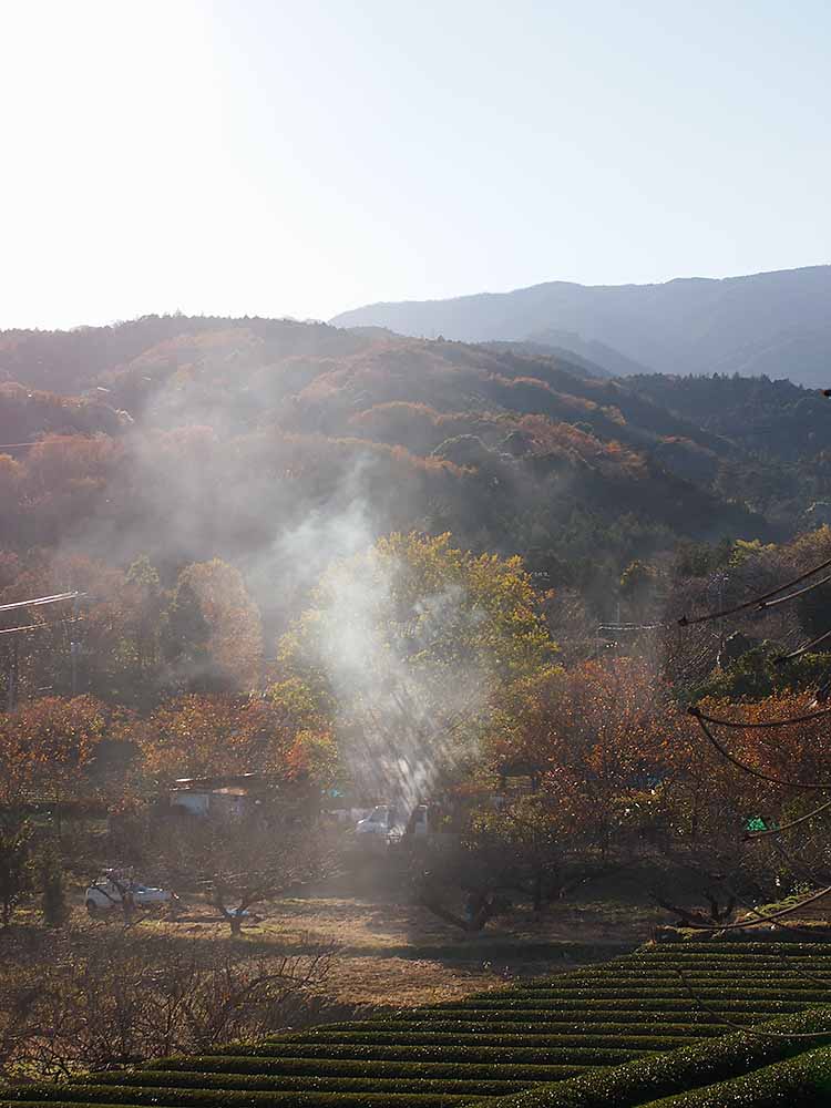 f:id:Etsuro1:20201209181946j:plain