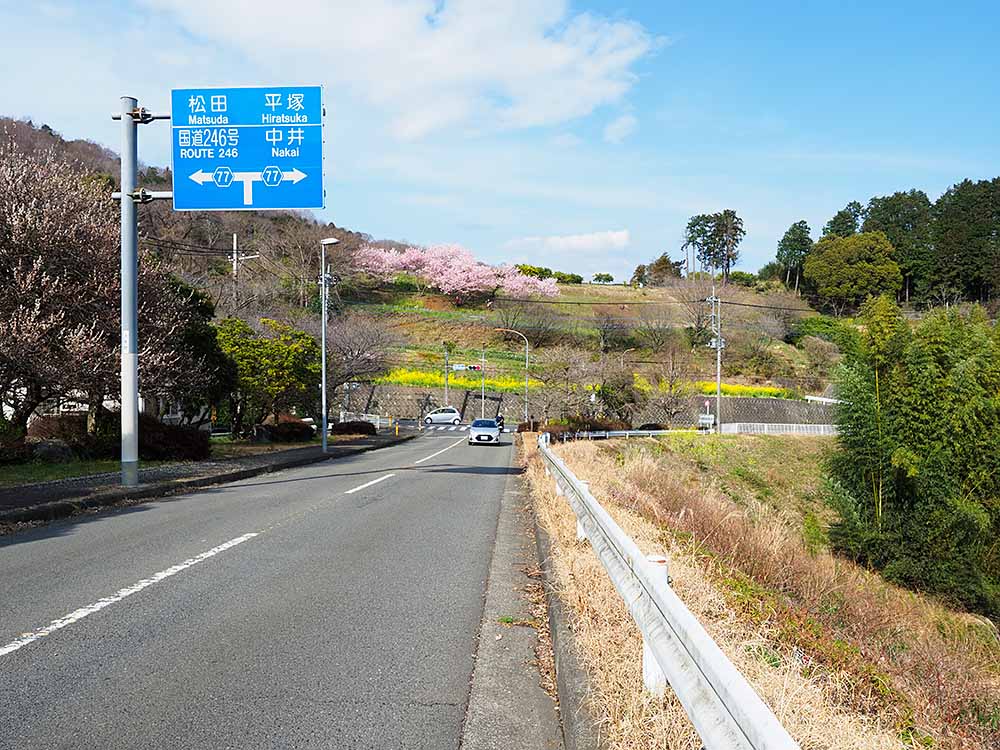 f:id:Etsuro1:20210317141656j:plain