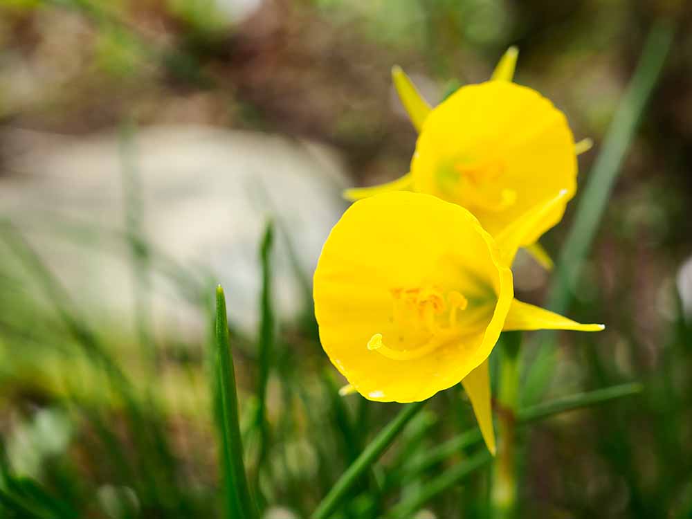 f:id:Etsuro1:20210330121048j:plain