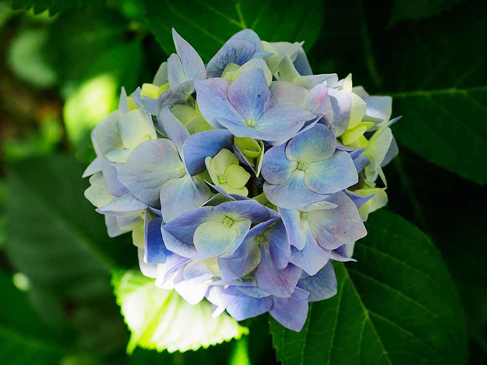 f:id:Etsuro1:20210601095755j:plain