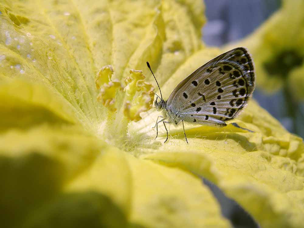 f:id:Etsuro1:20210703121716j:plain