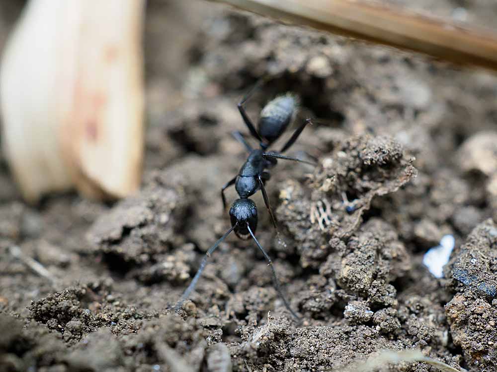 f:id:Etsuro1:20210705113844j:plain