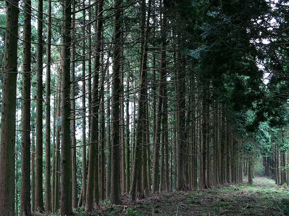 f:id:Etsuro1:20210710110150j:plain