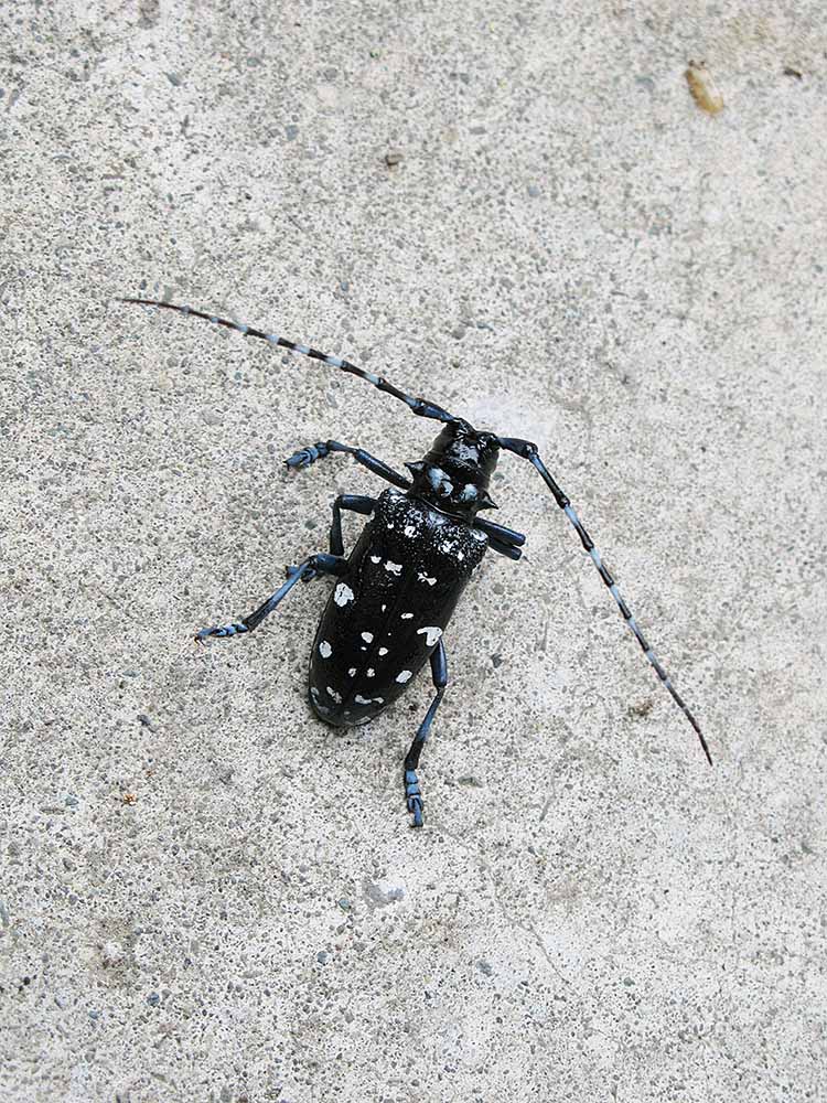 f:id:Etsuro1:20210715181402j:plain