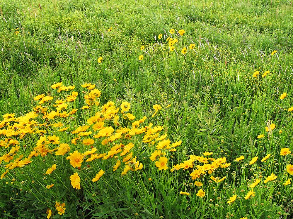 f:id:Etsuro1:20210727112458j:plain