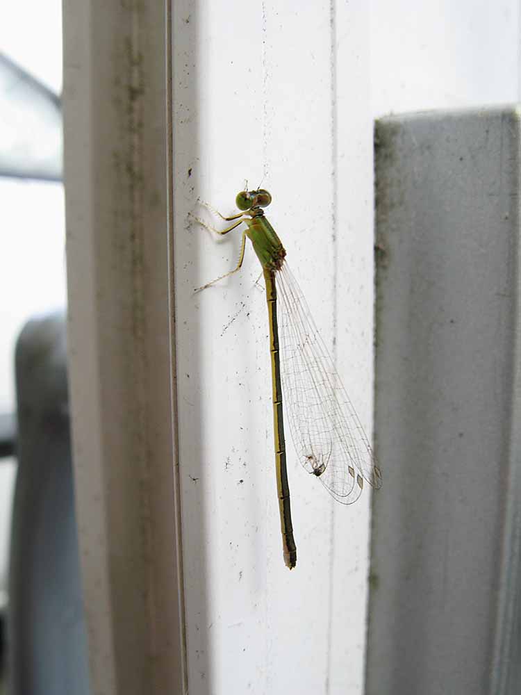 f:id:Etsuro1:20210804113121j:plain