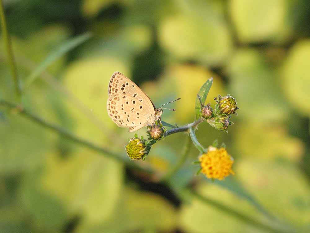 f:id:Etsuro1:20211007101041j:plain