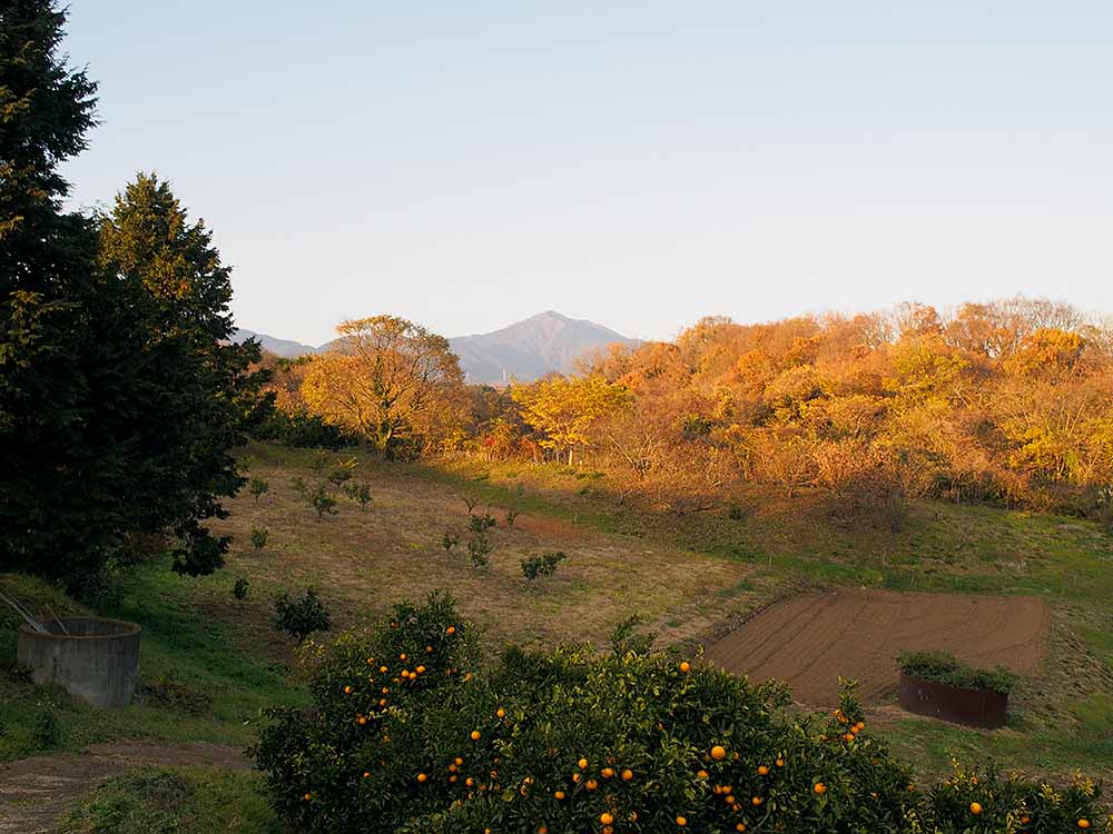 f:id:Etsuro1:20211221111428j:plain