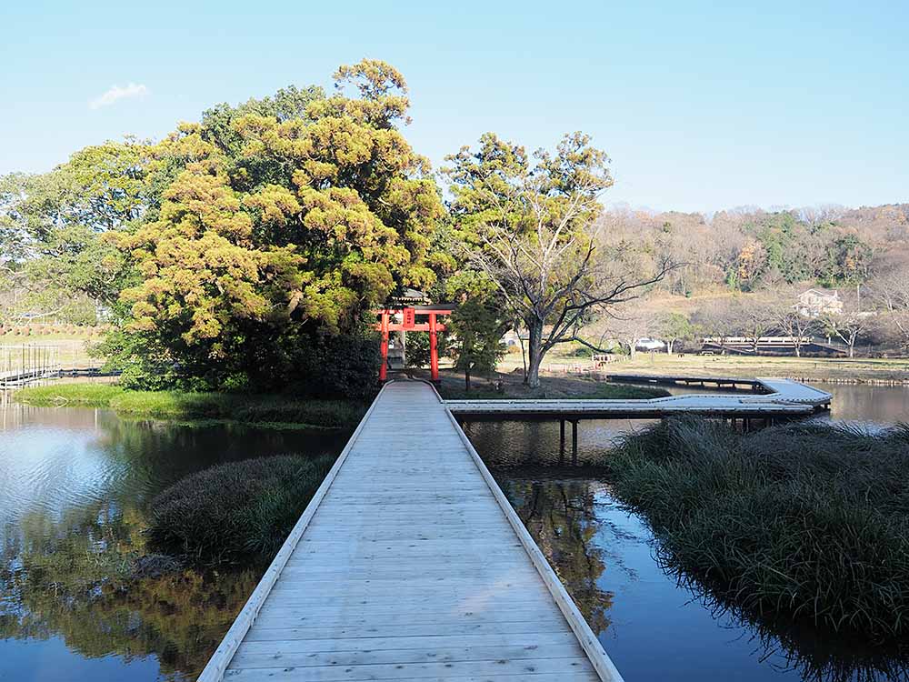 f:id:Etsuro1:20211230113453j:plain