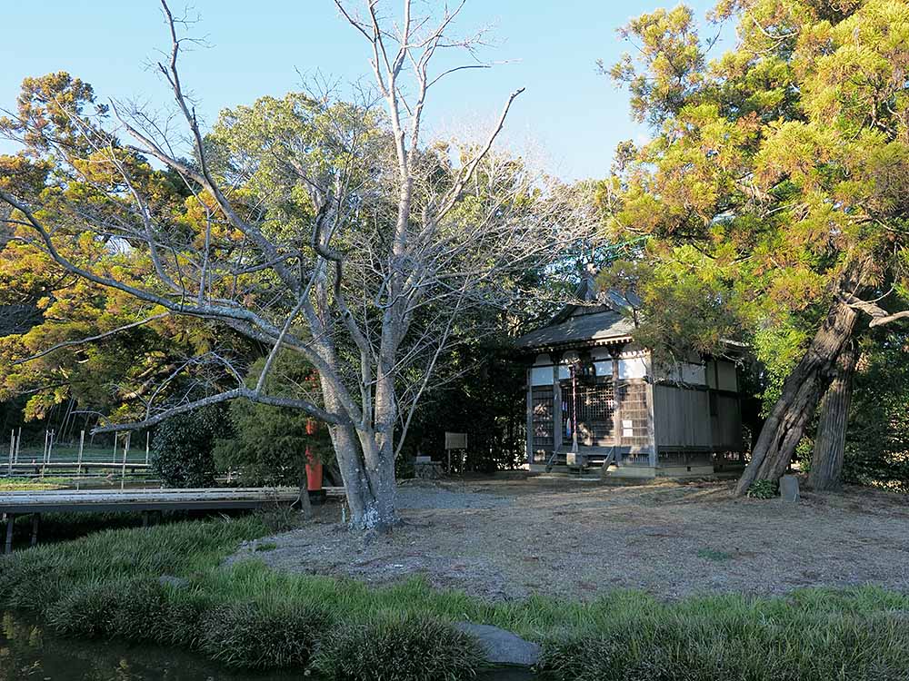 f:id:Etsuro1:20211230115734j:plain