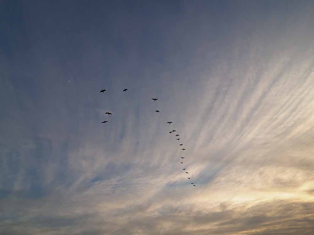 f:id:Etsuro1:20220110170851j:plain