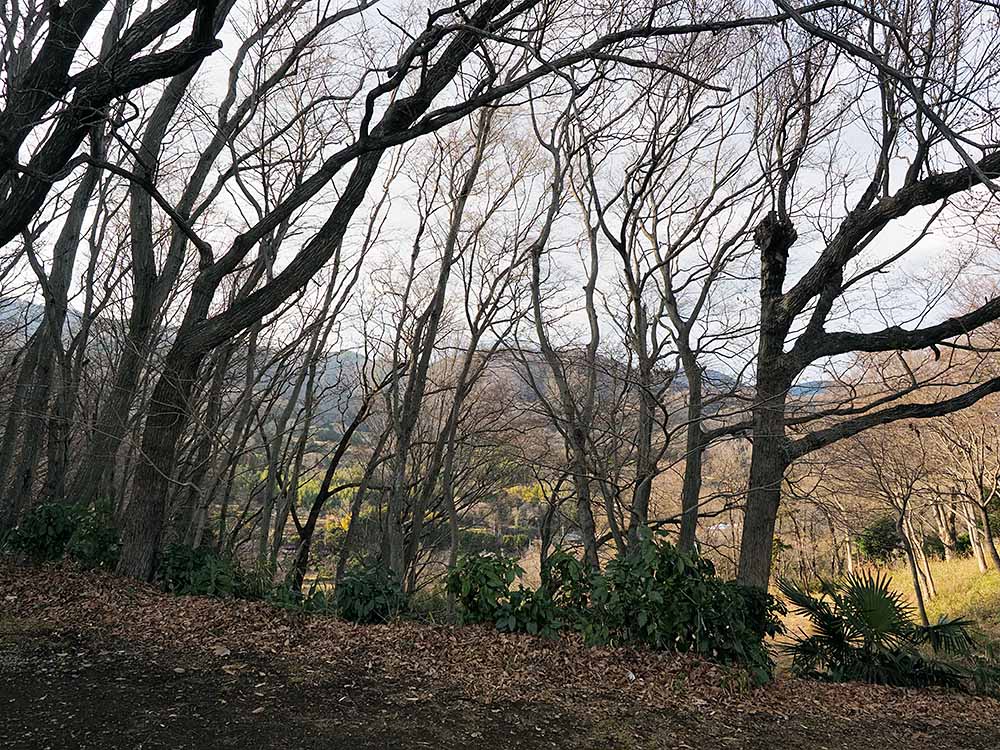 f:id:Etsuro1:20220221105049j:plain