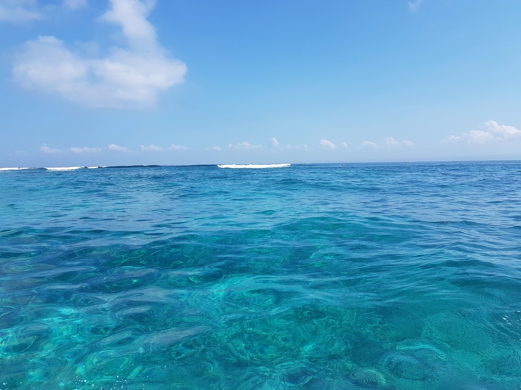 f:id:Eugene00:20181103113224j:plain f:id:Eugene00:20181103113224j:plain