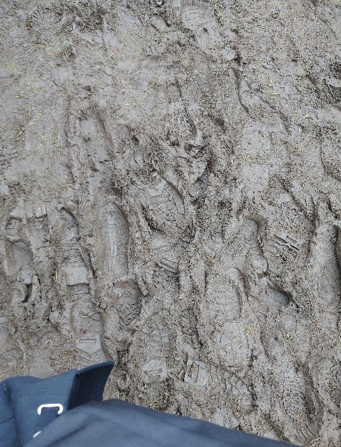 f:id:Euphoria_306:20231012155334j:image f:id:Euphoria_306:20231012155334j:image