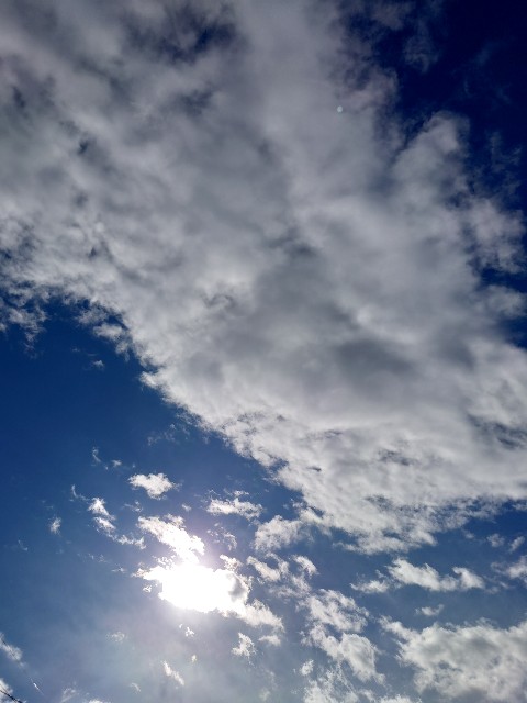 f:id:Euphoria_306:20231128105804j:image f:id:Euphoria_306:20231128105804j:image