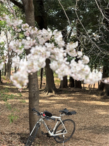 f:id:Euvicc:20180428220044j:image